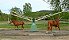 Horse Walkers